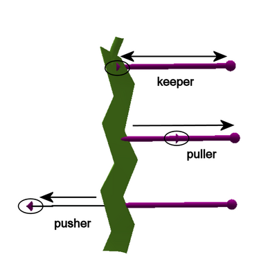 Spaceband pusher puller keeper