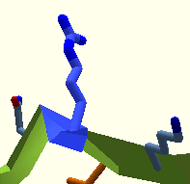 Ani4