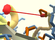 Constraint