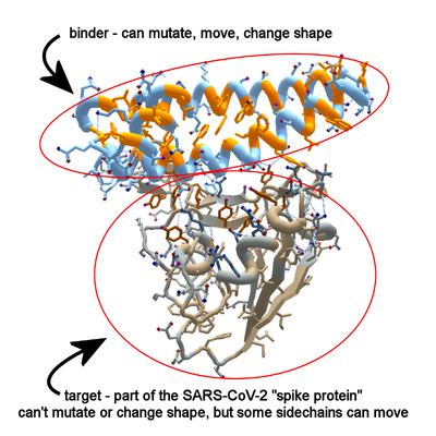 Coronavirus beginner 01