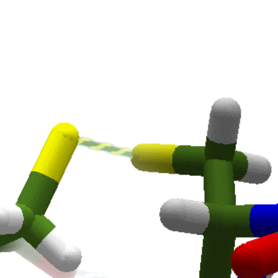 Disulfide Bridge