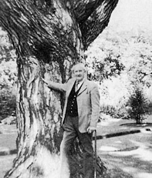 Jrrt 1972 tree