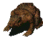 Rat taupe-3