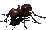 Fourmi-3