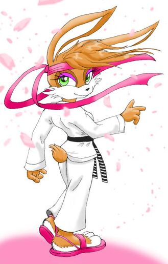 Bunnie Meiru Rabbotou