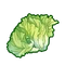 Ingredient-Lettuce