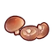 Ingredient-Shiitake