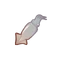 Ingredient-Squid