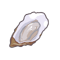 Ingredient-Oyster