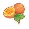 Ingredient-Orange