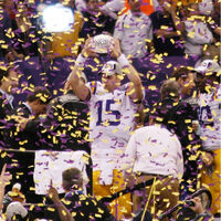 2007 Ncaa Division I Fbs Football Season American Football