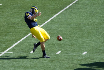 2008 Michigan Wolverines Football Team American Football Database Fandom