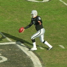 Punter Football Position American Football Database Fandom