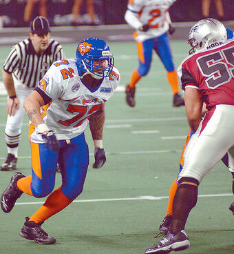 Alaska Wild American Football Database Fandom
