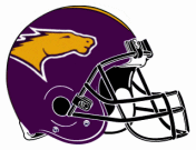 NFL Stallions