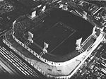 Lions in tiger stadium