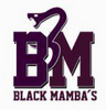 Monterrey Black Mambas