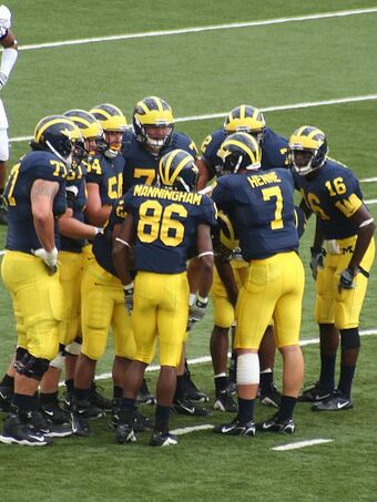 Chad Henne American Football Database Fandom