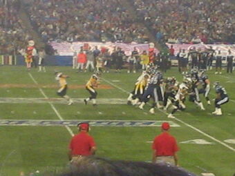 Hamilton Tiger Cats American Football Database Fandom