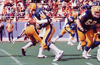 Pittsburgh Panthers Football American Football Database Fandom