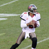Josh Freeman American Football Database Fandom