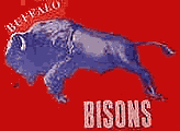 BuffaloBisonsAAFC