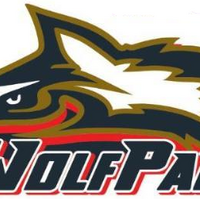 Wisconsin Wolfpack American Football Database Fandom