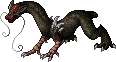 Longan