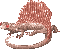 Albinosailfin