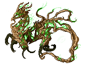 Derm