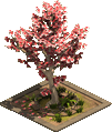 Kirschbaum