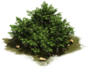 Hecke
