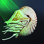 Nautilus-Nachbildung