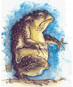 2e