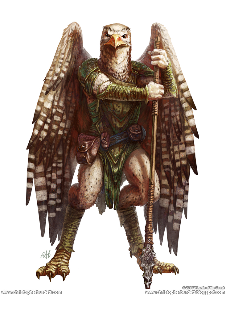 Aarakocra Realms Wiki FANDOM powered by Wikia