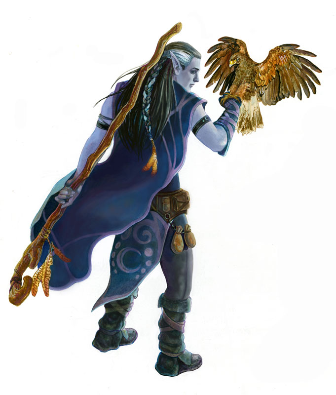 Druid | Forgotten Realms Wiki | FANDOM powered by Wikia