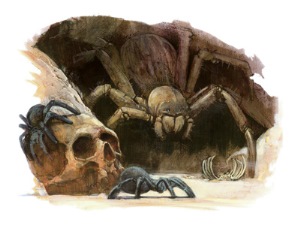 Subterranean spiders