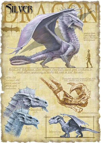 Silver Dragon Forgotten Realms Wiki Fandom