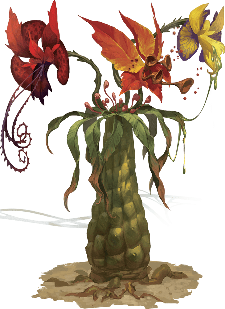 Tri flower frond