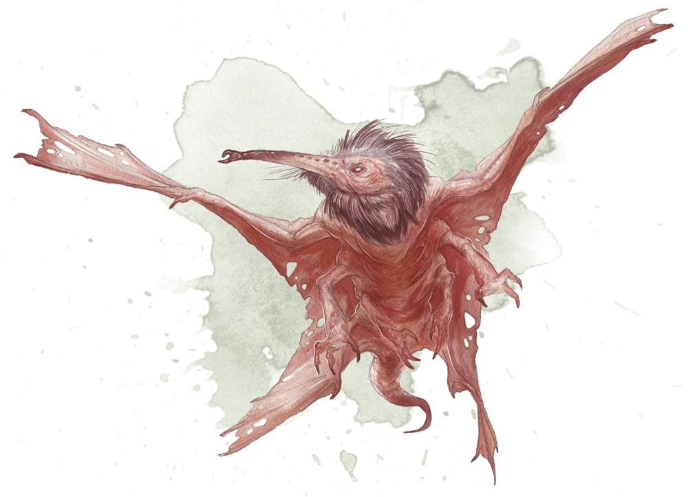 category beasts 5e forgotten