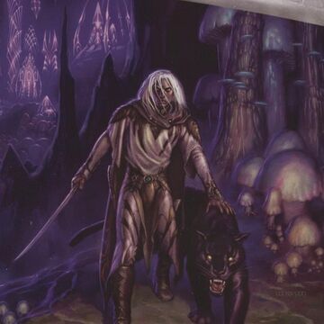 Menzoberranzan Forgotten Realms Wiki Fandom