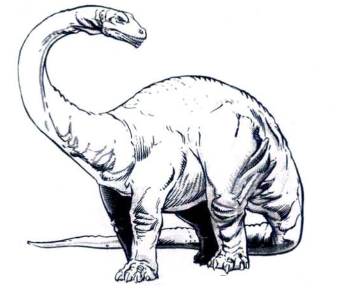 brontosauruses