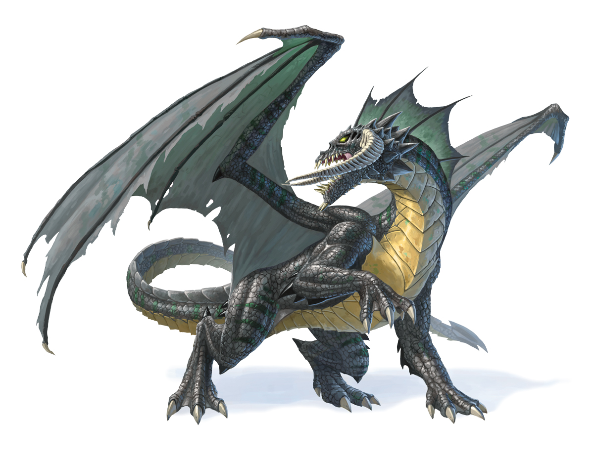 Black Dragon Forgotten Realms Wiki Fandom Powered By Wikia