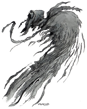 Wraith | Forgotten Realms Wiki | Fandom
