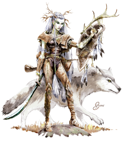 Druid Forgotten Realms Wiki Fandom