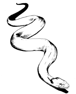 constrictor snake 5e