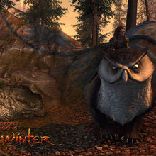 Owlbear Forgotten Realms Wiki Fandom