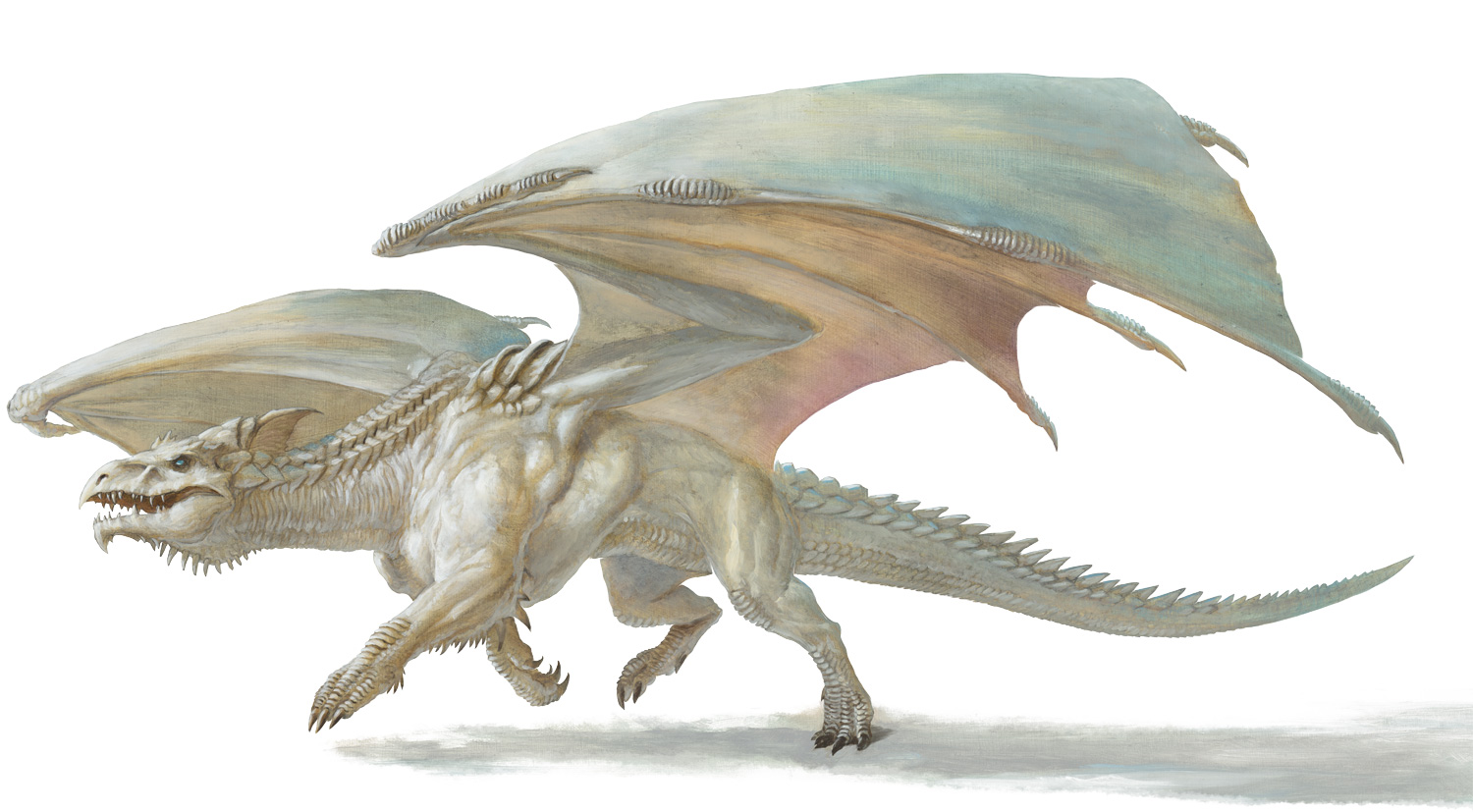 White Dragon Forgotten Realms Wiki Fandom Powered By Wikia