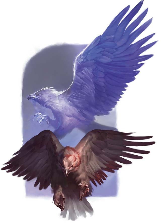 hawk forgotten realms wiki fandom powered by wikia hawk forgotten realms wiki fandom powered by wikia