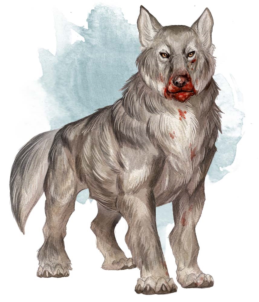 dire wolf information dire wolf information